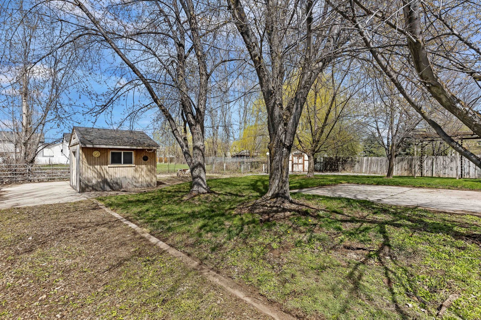 025_Backyard-3-scaled